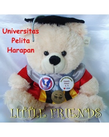 Boneka Wisuda Universitas Pelita Harapan - Keuangan (30 cm)